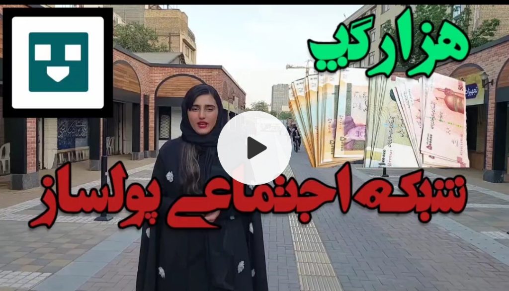 شبکه اجتماعی پولساز