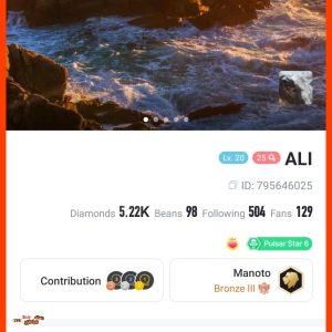 اکانت بیگو فروشی