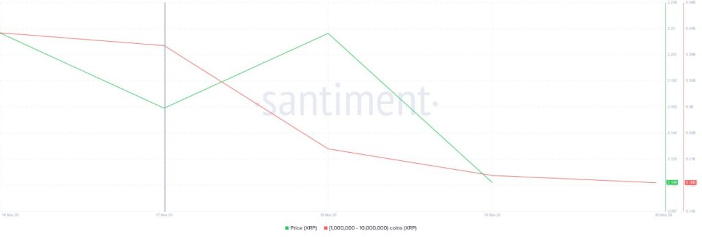 سقوط ریپل با وجود تایید ETFهای اسپات