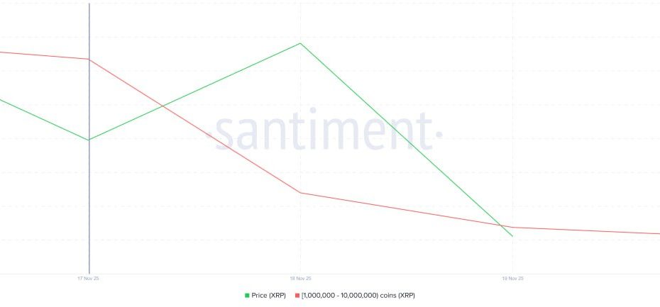 سقوط ریپل با وجود تایید ETFهای اسپات